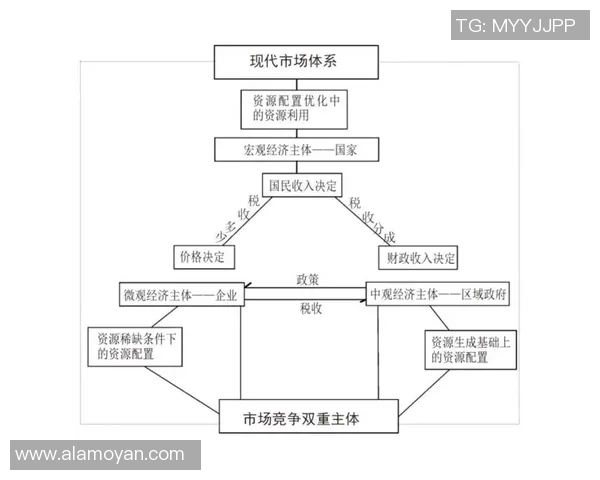 杭州篮球队运营革新探索：从管理模式到市场营销的全方位升级之路