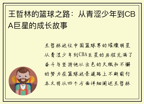 王哲林的篮球之路:从青涩少年到CBA巨星的成长故事